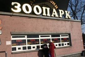 МВД: Животных в киевском зоопарке не травили