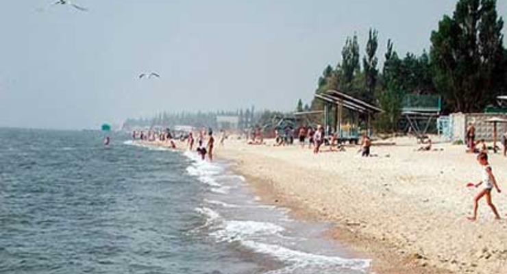 В Азовском море гибнет рыба и птицы