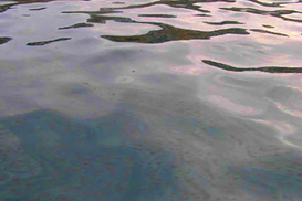 Ущерб от разлива нефти оценили в 100 млрд.долларов