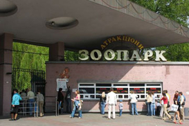 Киевский зоопарк - кто виновен в смерти животных?