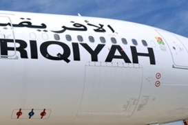 В авиакатастрофе в Ливии выжил 8-летний ребенок