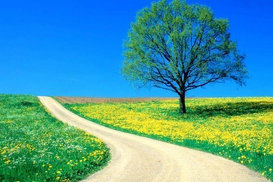 Названы страны, больше всего уничтожающие природу