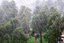 На Закарпатье объявлено штормовое предупреждение