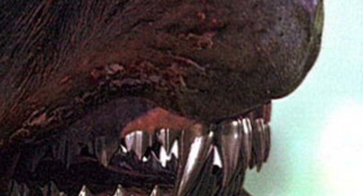 "Беркута" травили бойцовыми псами