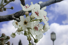 Прогноз погоды на завтра (01.05.2010)