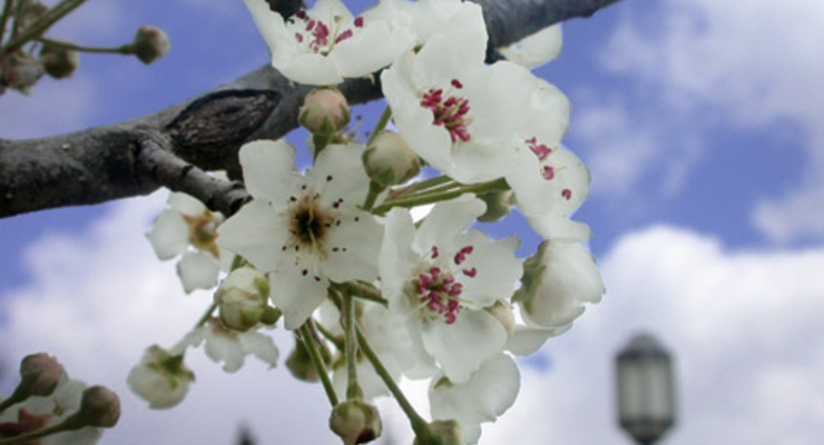 Прогноз погоды на завтра (01.05.2010)