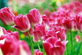 Прогноз погоды на майские праздники