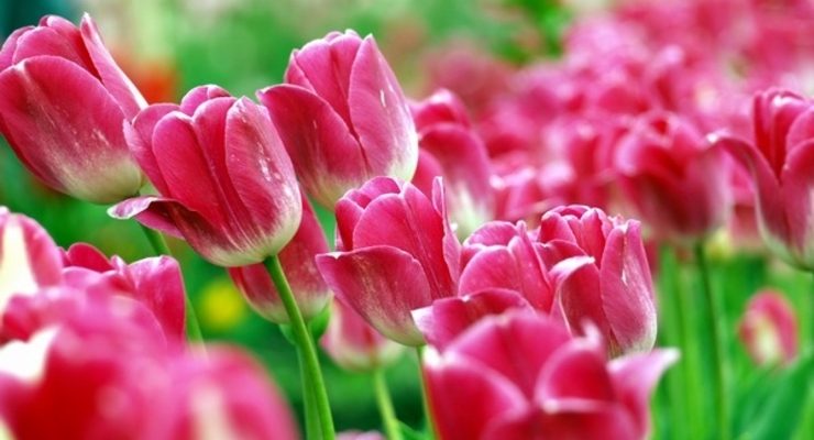 Прогноз погоды на майские праздники