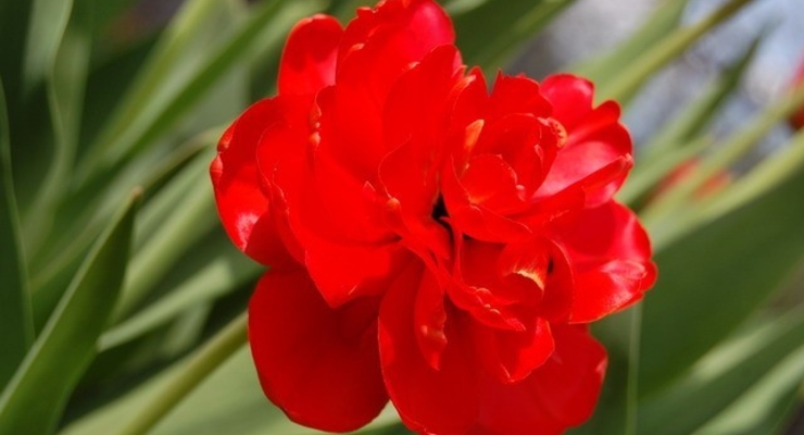 Украинцы будут отдыхать дополнительно три дня