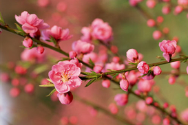 Прогноз погоды на завтра