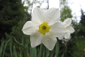 ТОП-10 отелей в радиусе 50 километров от столицы