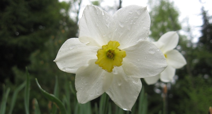 ТОП-10 отелей в радиусе 50 километров от столицы