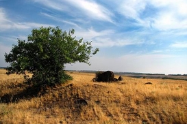 ООН проводит в Украине конкурс фотографии