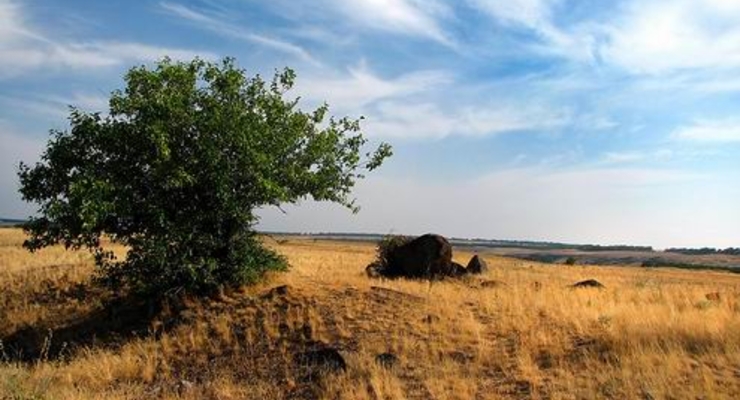 ООН проводит в Украине конкурс фотографии