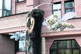 В Киеве появились летающие тигрята (фото)