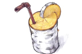 Сбор березового сока только по билету