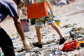 Тем, кто мусорит, грозят штрафы