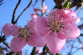 Как отдыхаем на майские?