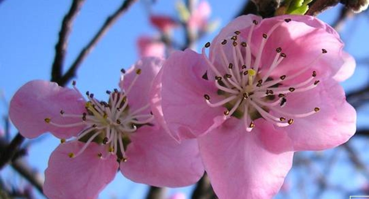 Как отдыхаем на майские?