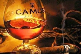 В Украине могут ввести налог на роскошь