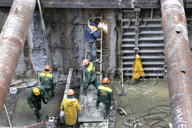 До конца года украинцы могут работать в Польше