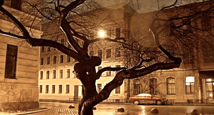 Час Земли 2010 пришел в Украину