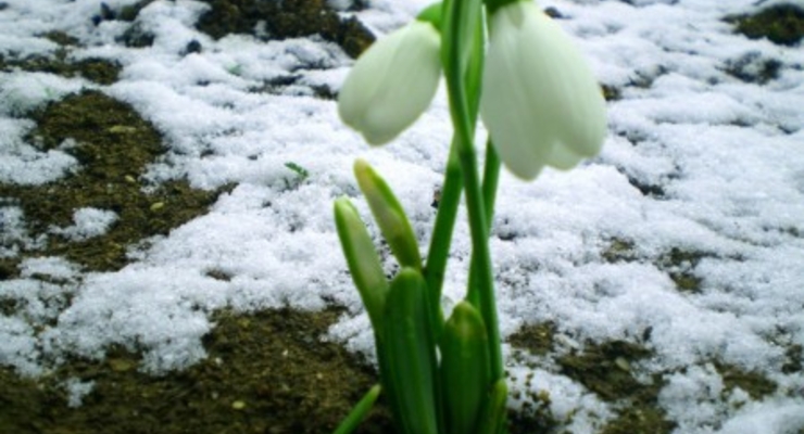 Прогноз  погоды на 24 марта