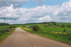 На дорогах столицы движение плотное