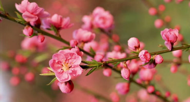 Прогноз погоды на завтра