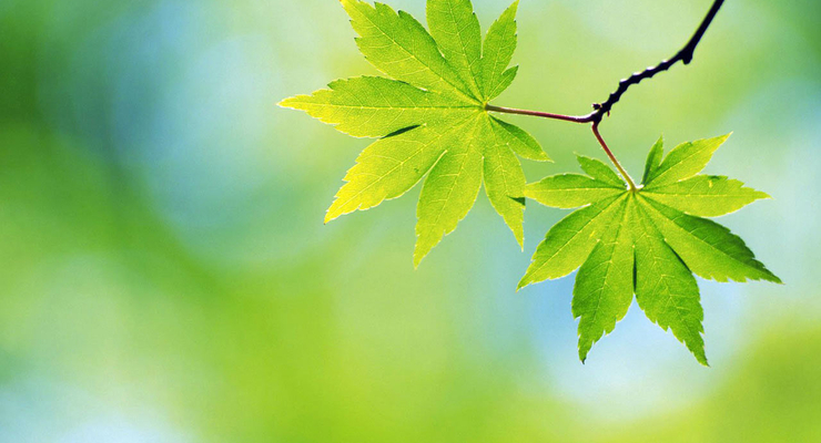 Скоро потеплеет до +15