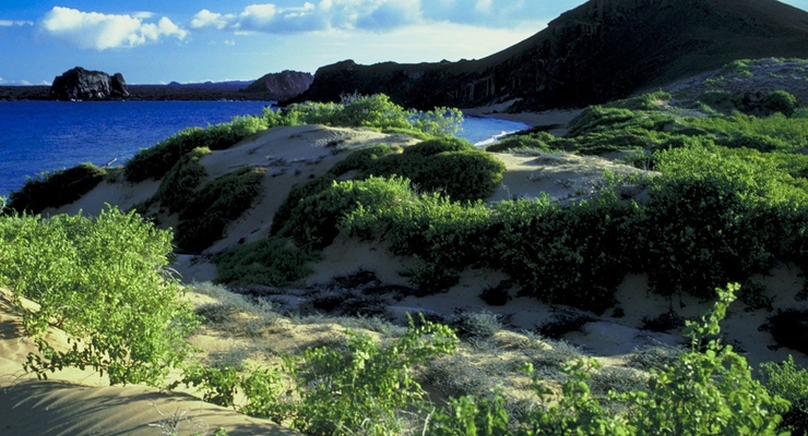 На Сахалине произошло три землетрясения