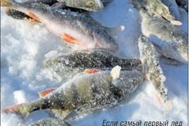 На Киевском море экологическая катастрофа