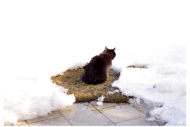 Прогноз погоды на завтра