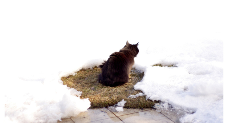 Прогноз погоды на завтра