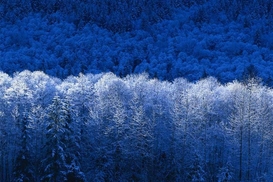 В Украину снова пришла зима