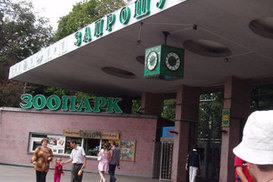 8 марта Киевский зоопарк будет пускать двоих посетителей на один билет