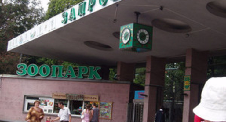 8 марта Киевский зоопарк будет пускать двоих посетителей на один билет