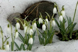 Прогноз погоды на завтра