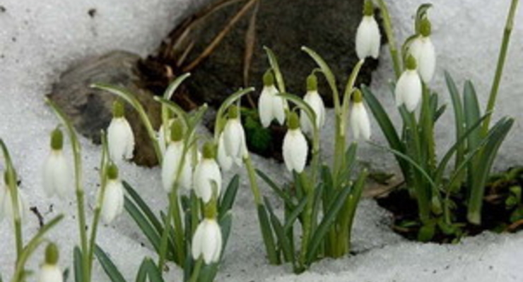 Прогноз погоды на завтра