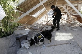 Землетрясение в Чили сократило продолжительность земных суток