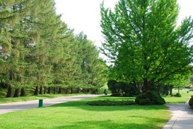 На территории Ботсада будет торговый центр?