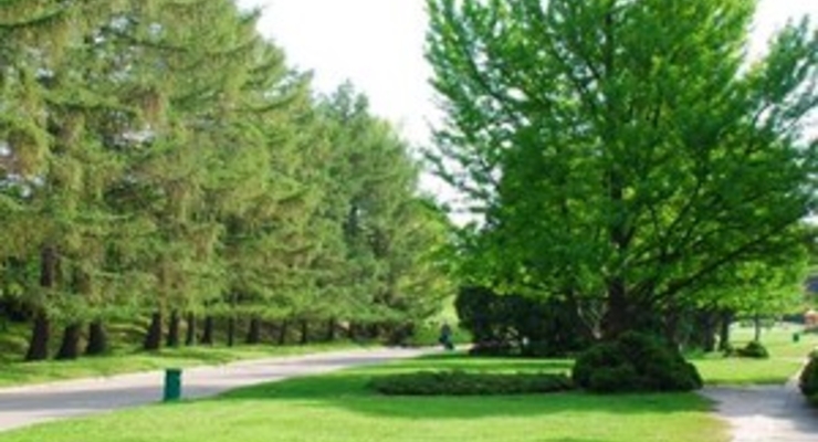 На территории Ботсада будет торговый центр?