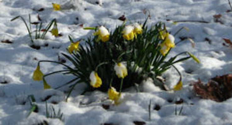 Прогноз погоды на завтра: днем плюсовая температура