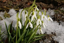 В Украине потеплеет еще больше