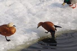 Прогноз погоды на выходные