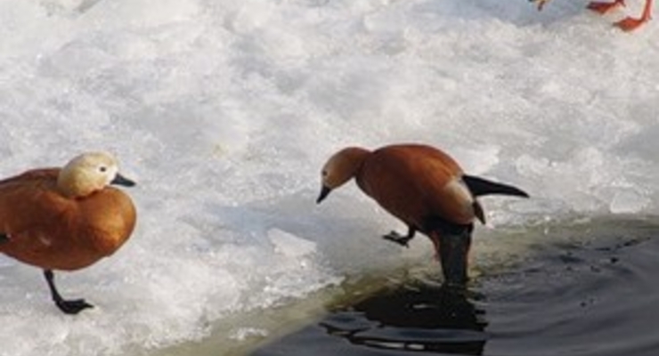 Прогноз погоды на выходные