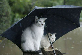 Гидрометцентр: Весна будет поздней и с паводками