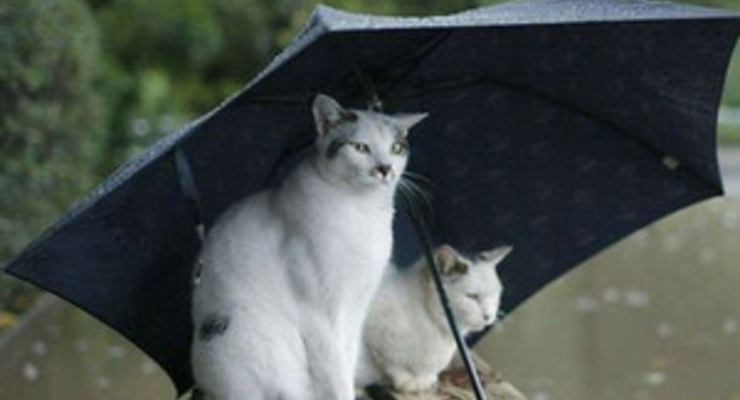 Гидрометцентр: Весна будет поздней и с паводками