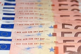 Падение курса евро замедлилось (на 10:30 17.02.2010)