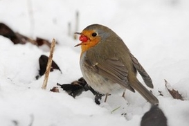 Прогноз погоды на завтра